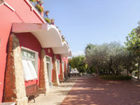 38. Plaza del Olivo